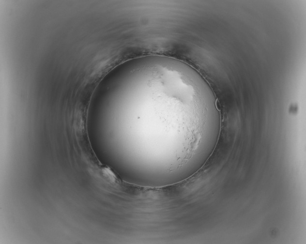 X0000093751058200710231227