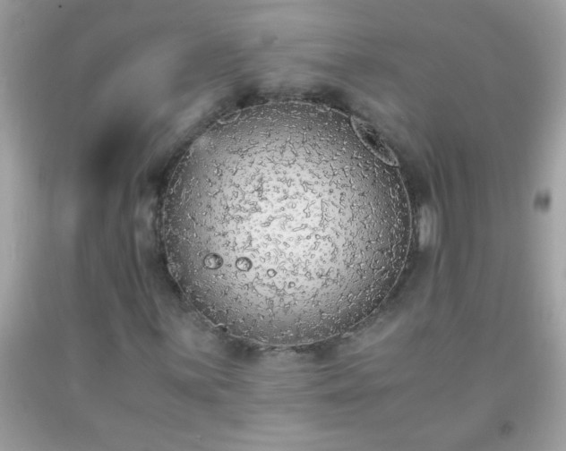 X0000093751059200710231227
