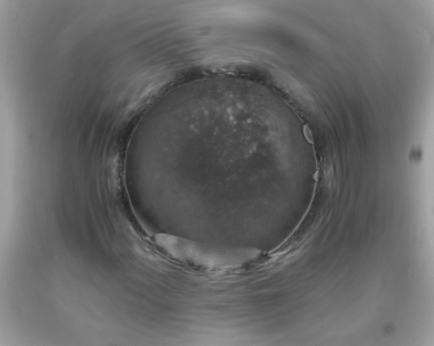 X0000093751060200710231227