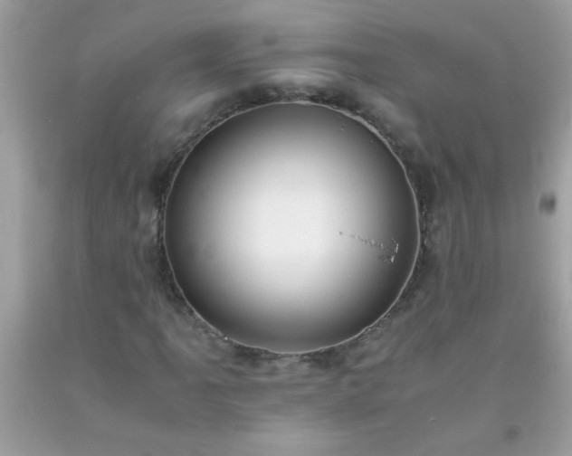 X0000093751061200710231227