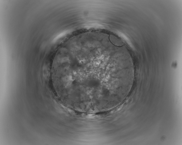 X0000093751063200710231227