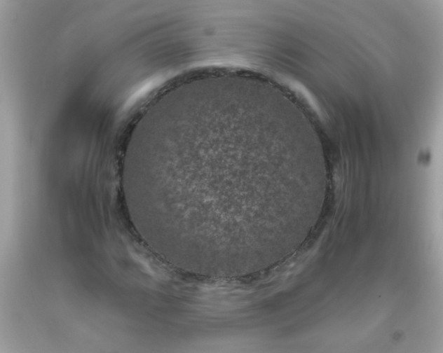 X0000093751064200710231227