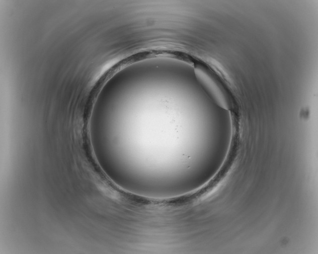X0000093751065200710231227