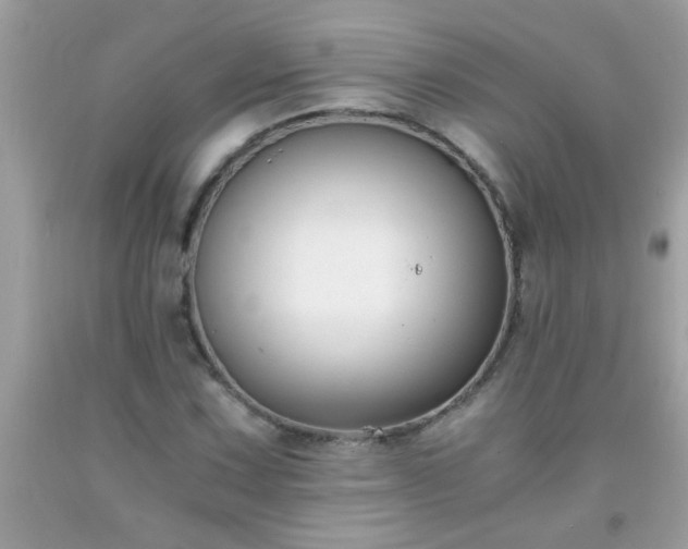 X0000093751067200710231227