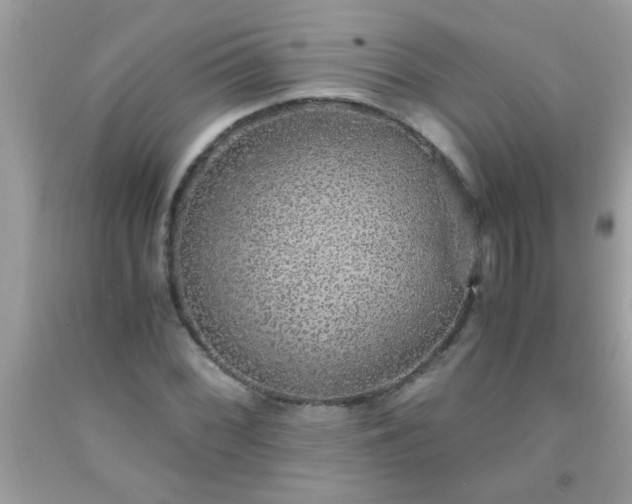 X0000093751068200710231227
