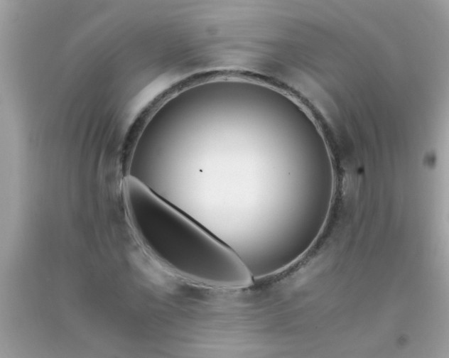 X0000093751069200710231227
