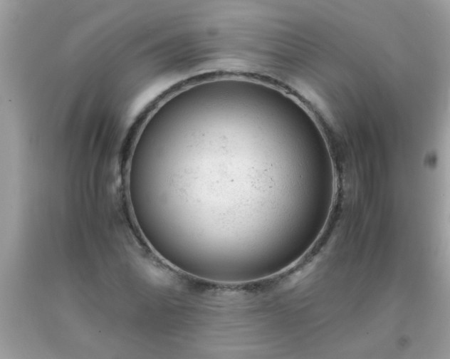 X0000093751070200710231227
