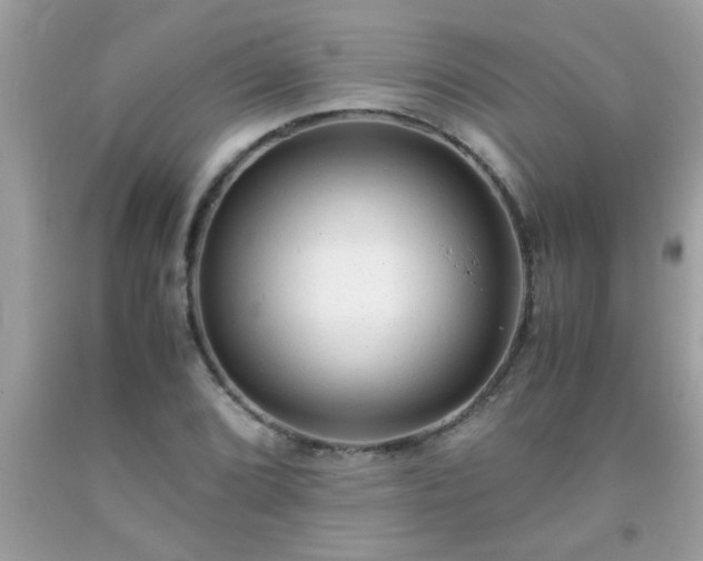 X0000093751072200710231227