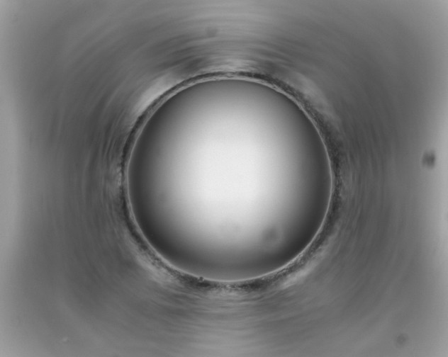 X0000093751073200710231227