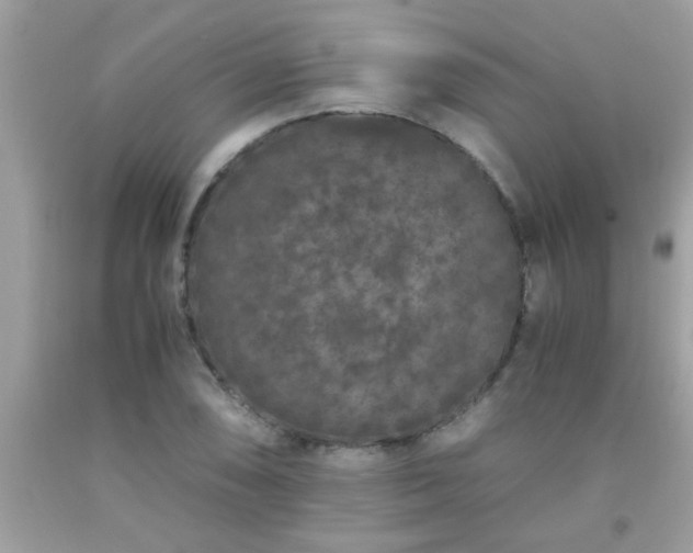 X0000093751074200710231227