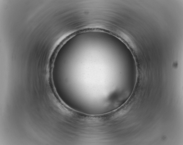 X0000093751076200710231227