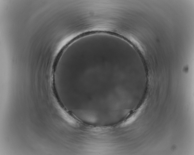 X0000093751077200710231227