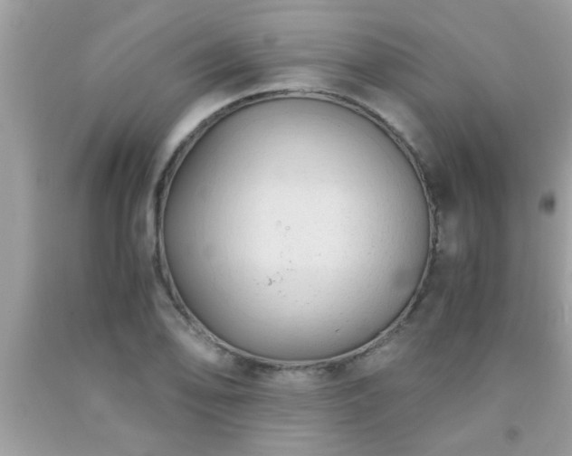 X0000093751078200710231227