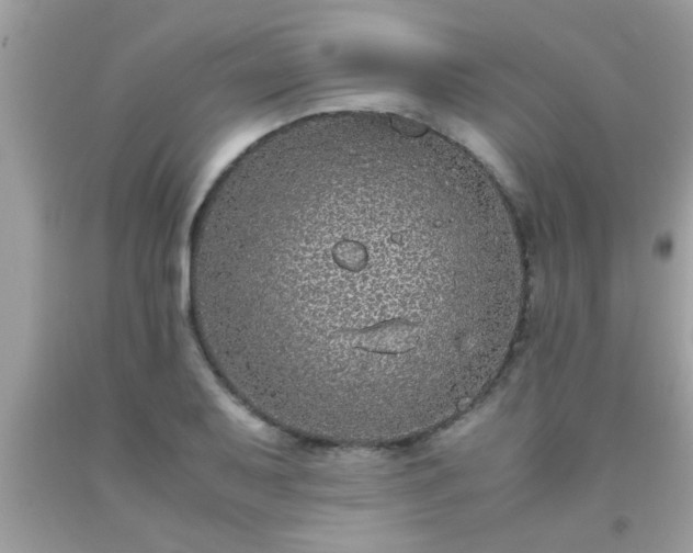 X0000093751079200710231227
