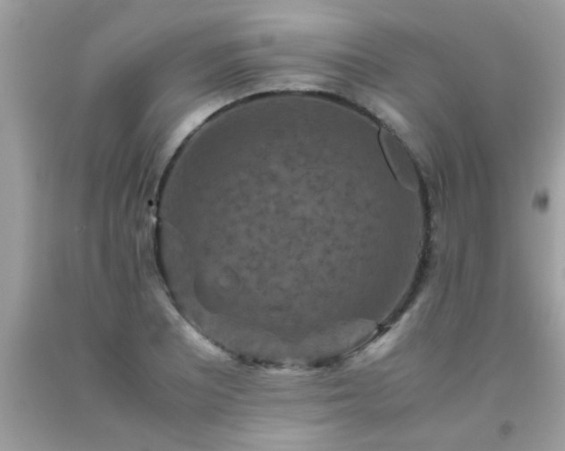 X0000093751081200710231227