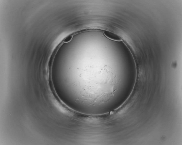X0000093751082200710231227