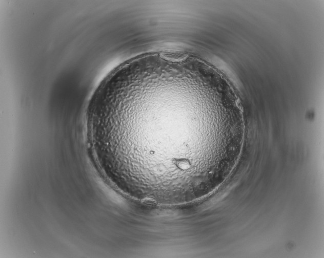 X0000093751083200710231227