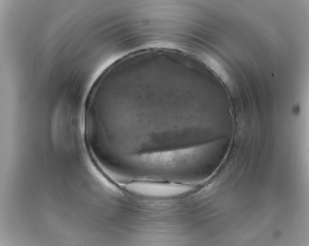 X0000093751084200710231227
