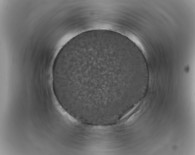X0000093751088200710231227