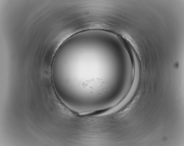 X0000093751089200710231227
