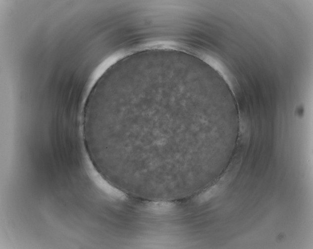X0000093751090200710231227