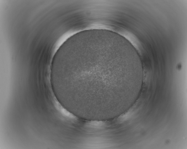 X0000093751094200710231227