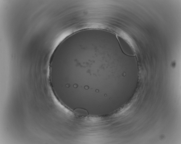 X0000093751095200710231227