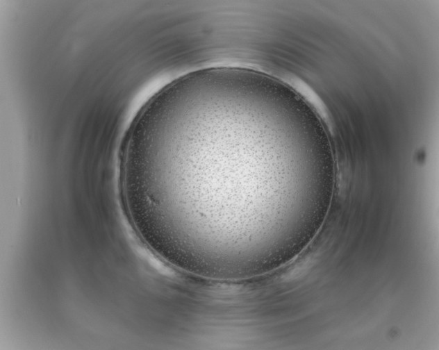 X0000093751096200710231227