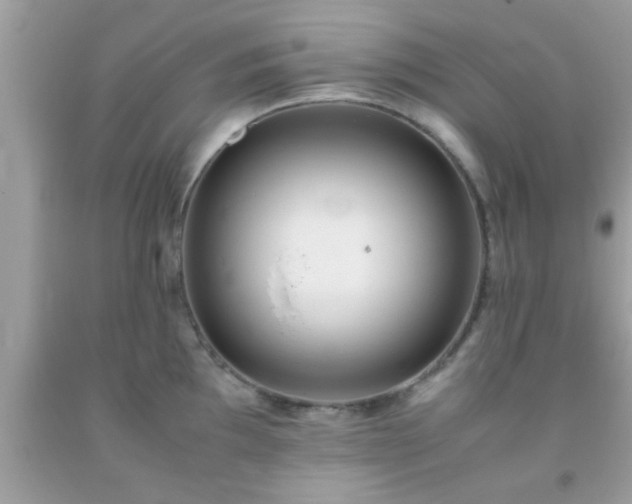 X0000093751097200710231227