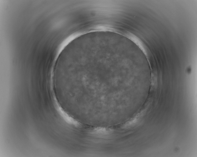 X0000093751098200710231227