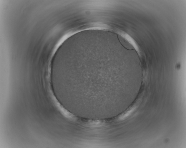 X0000093751099200710231227