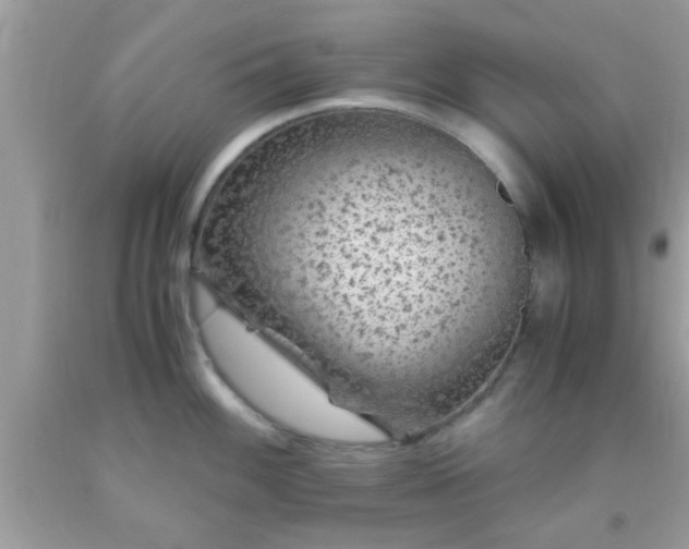 X0000093751100200710231227