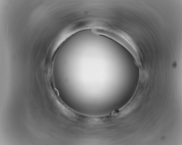 X0000093751101200710231227