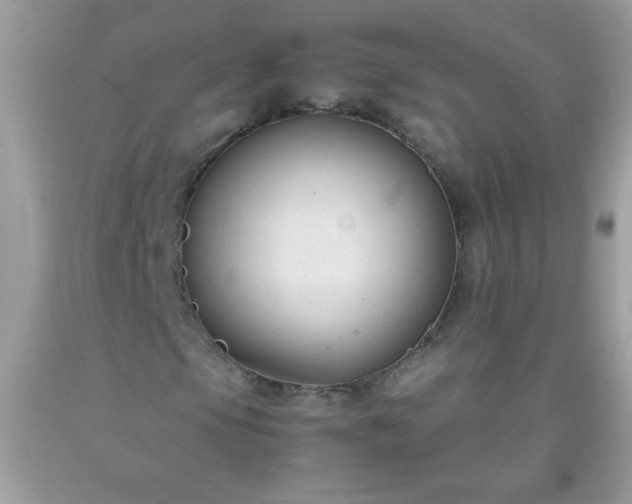 X0000093751105200710231226