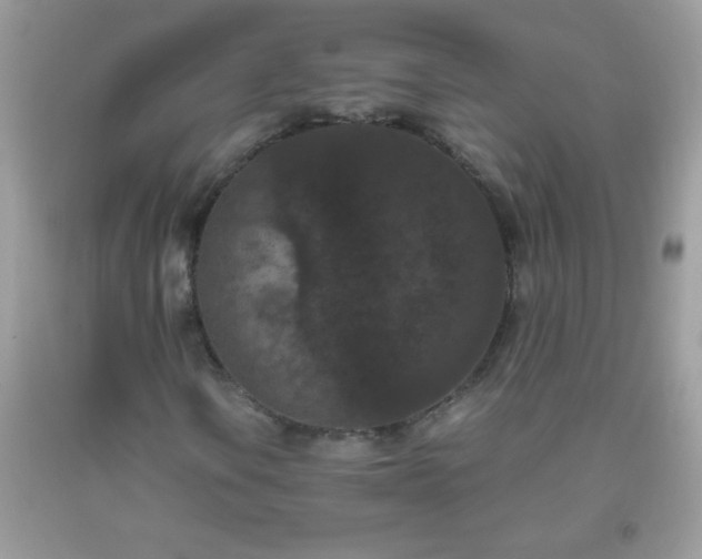 X0000093751106200710231226