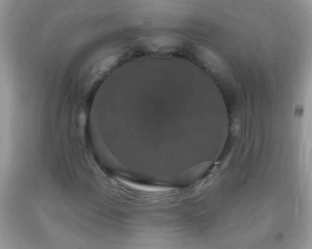 X0000093751108200710231226