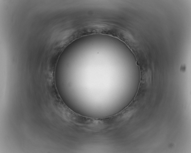 X0000093751109200710231226