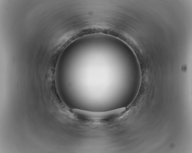 X0000093751110200710231226