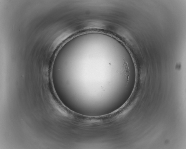 X0000093751113200710231226