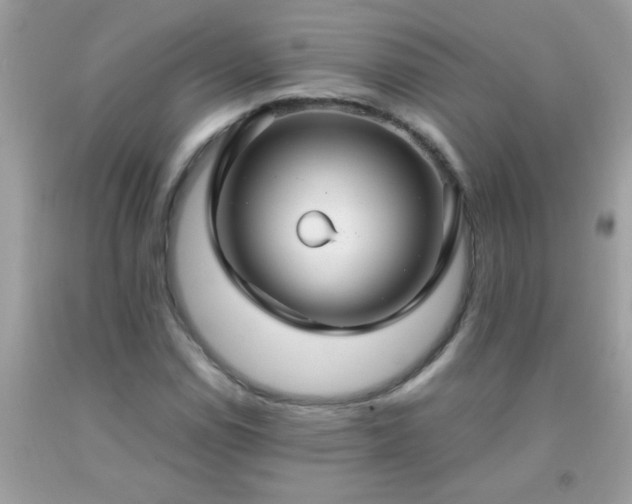 X0000093751114200710231226
