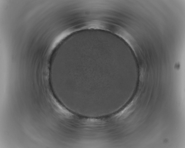 X0000093751115200710231226
