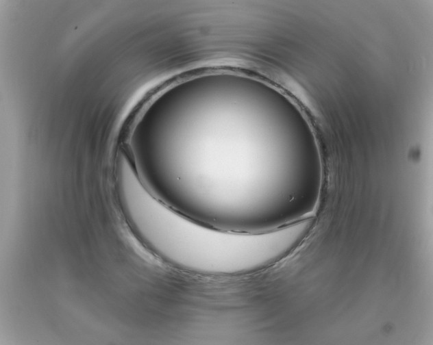 X0000093751116200710231226