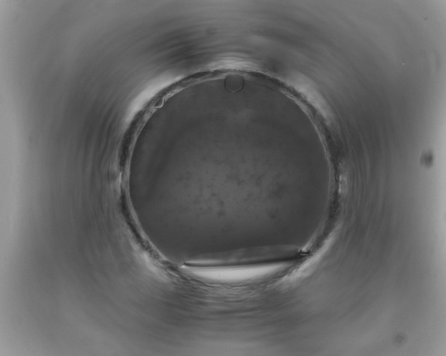X0000093751117200710231226