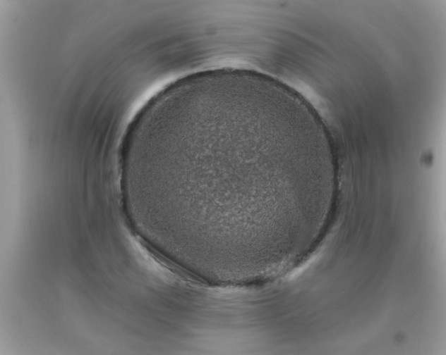 X0000093751118200710231226