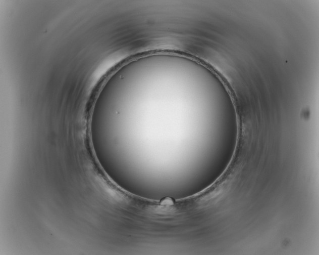 X0000093751119200710231226