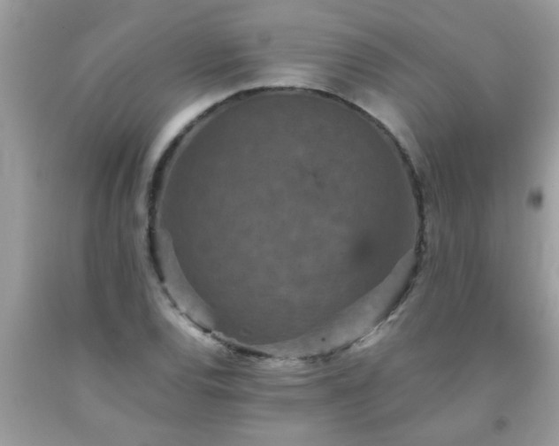 X0000093751120200710231226