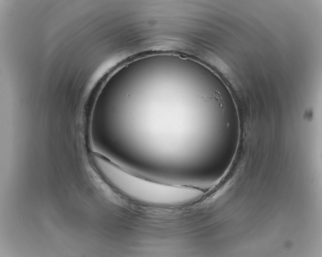 X0000093751122200710231226