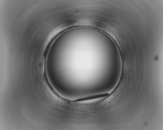 X0000093751123200710231226