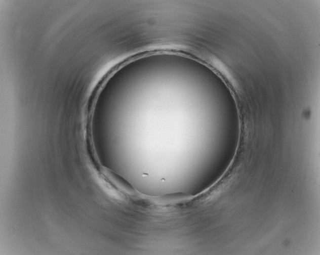 X0000093751124200710231226