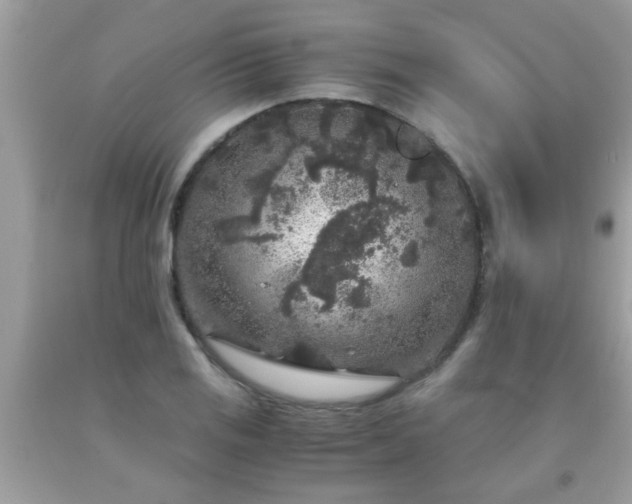 X0000093751125200710231226